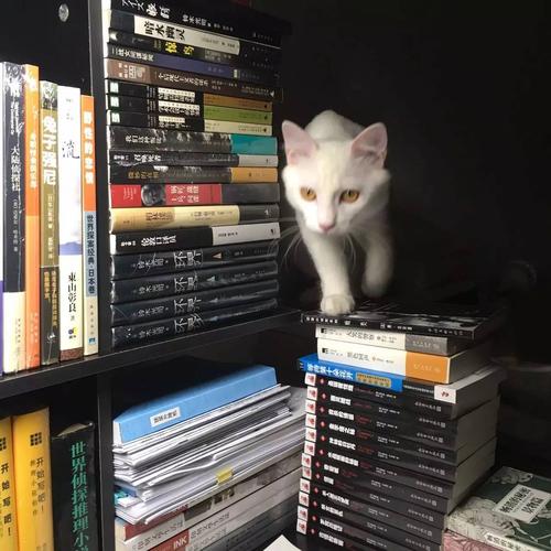 广大留学率-各大学出国留学率