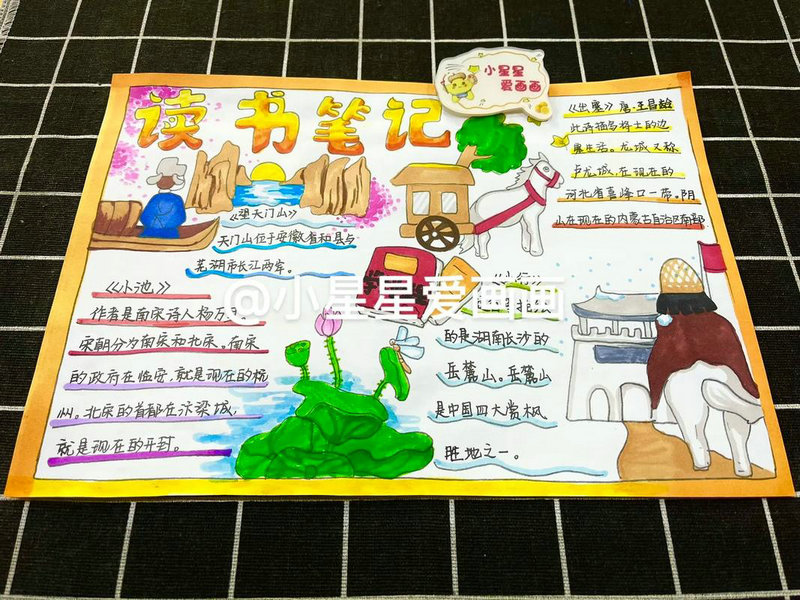 新西兰留学 —— 小学游学