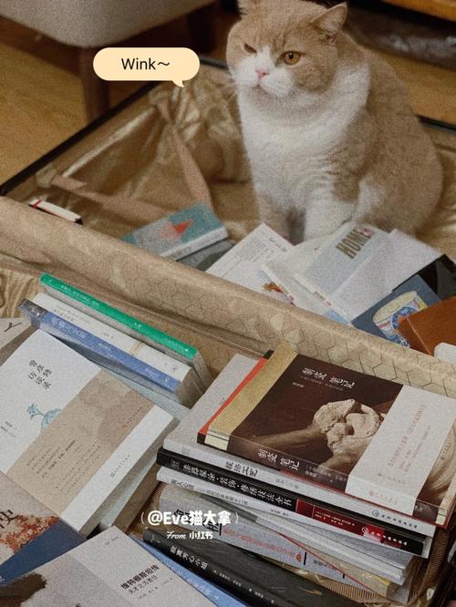 留学生进北大(留学生进北大要多少分)