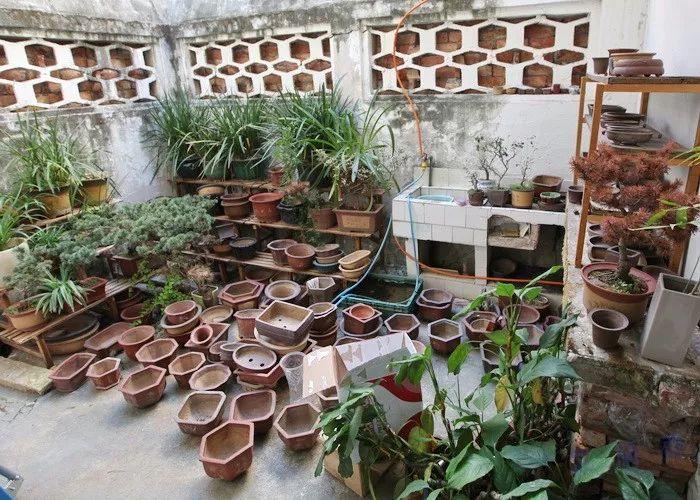 建筑学博士申请案例分析