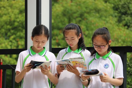 钠铂出国留学(钠铂亚家具)