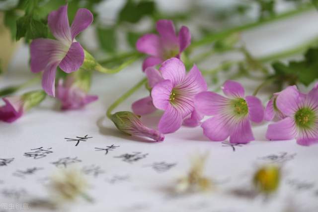 别让我看见 别让我看见你 别让我看见 别让我看见你