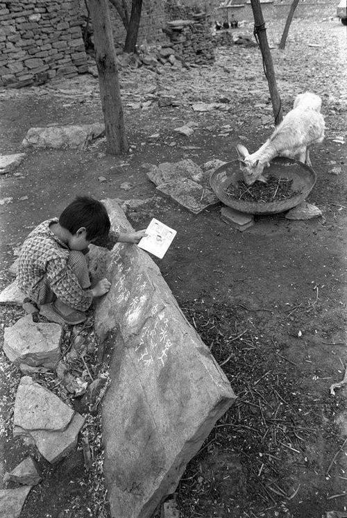 新西兰当地生活介绍