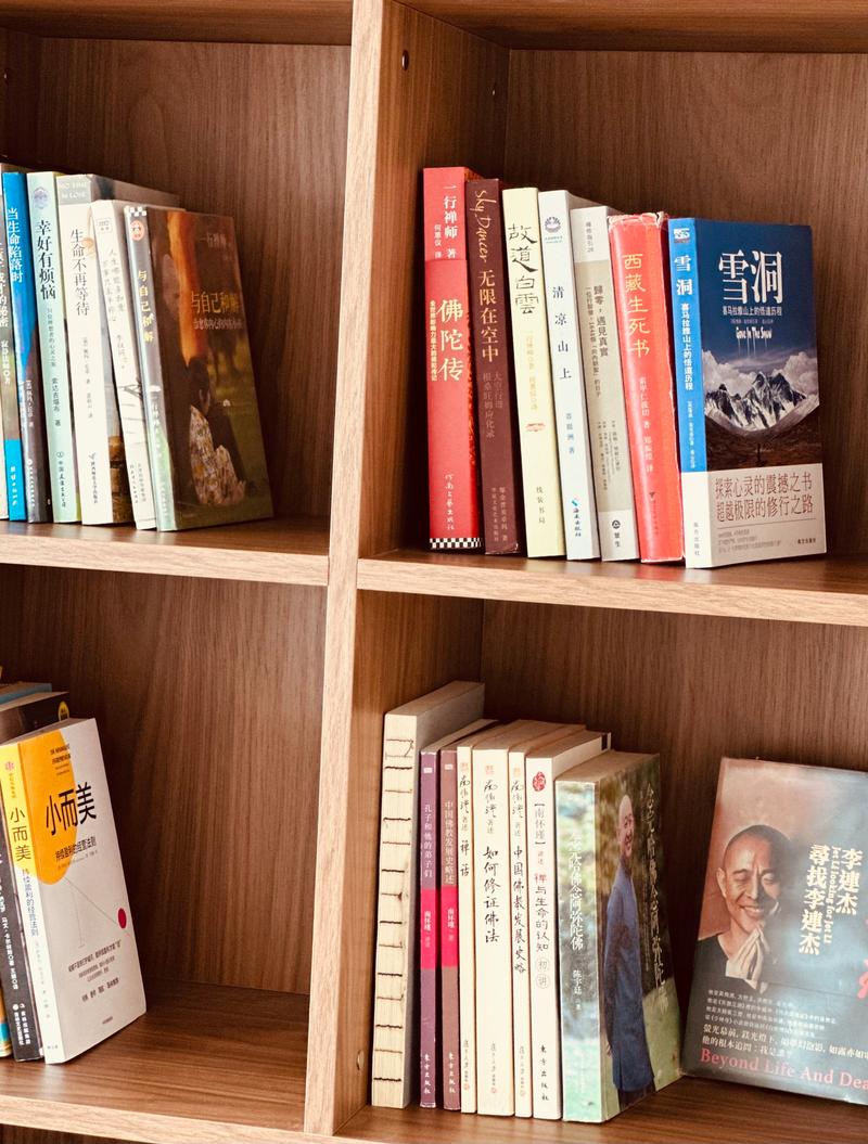 美诚出国留学-美诚进出口有限公司