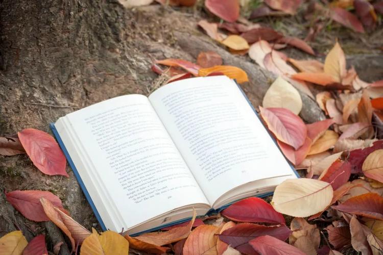 野鸭子迈克出国留学_野鸭子的主角是谁