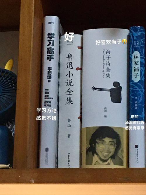 孙红雷林志玲主演的电影