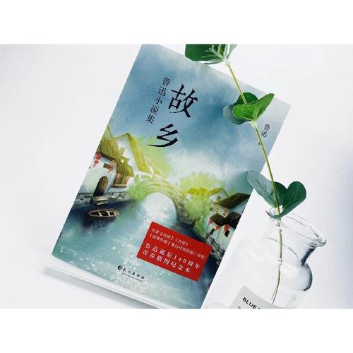 荷兰出国留学类型是什么