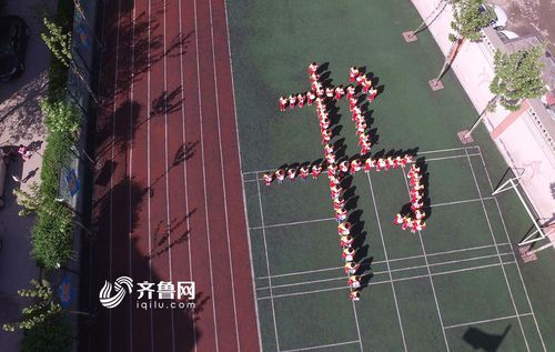 抄袭出国留学(抄袭国外作品)