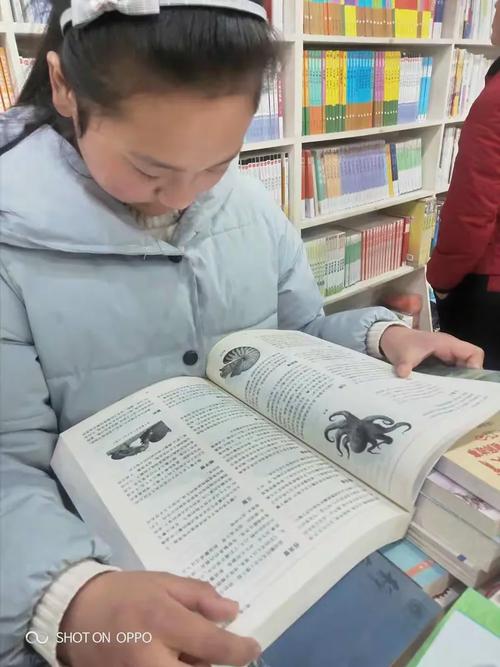 琼海李泉的任职-琼海李熙简历