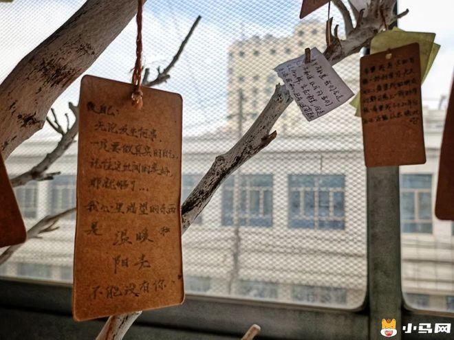 南非旅游南非不可不去的旅游景点