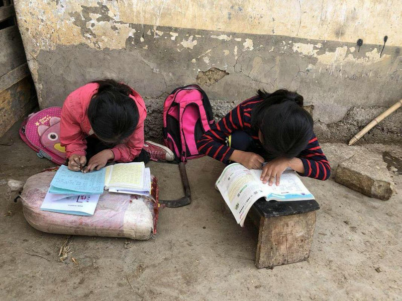 留学圈小奶牛-北美留学小奶牛