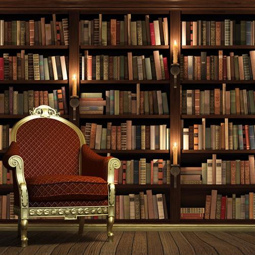 历史文化名城名镇名村保护条例