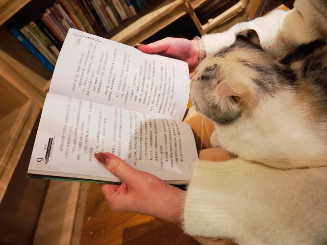 谢霆锋与张柏芝消息