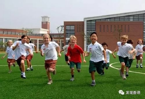 留学初始之魅力新西兰 留学初始之魅力新西兰