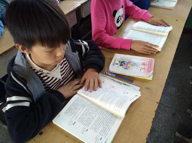 深度分析小学留学新西兰 深度分析小学留学新西兰