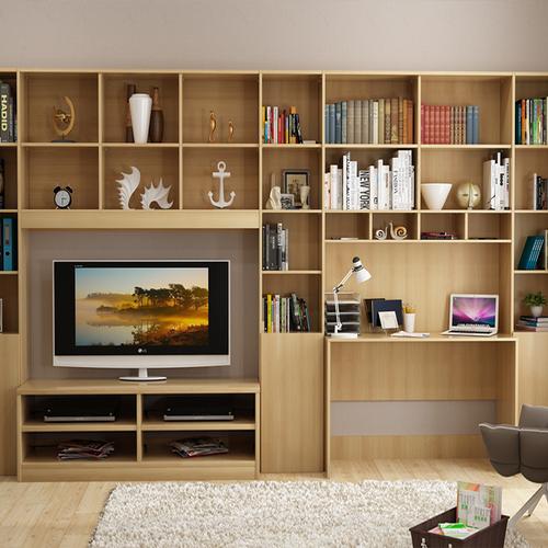 韦仕敦大学的MBA项目介绍