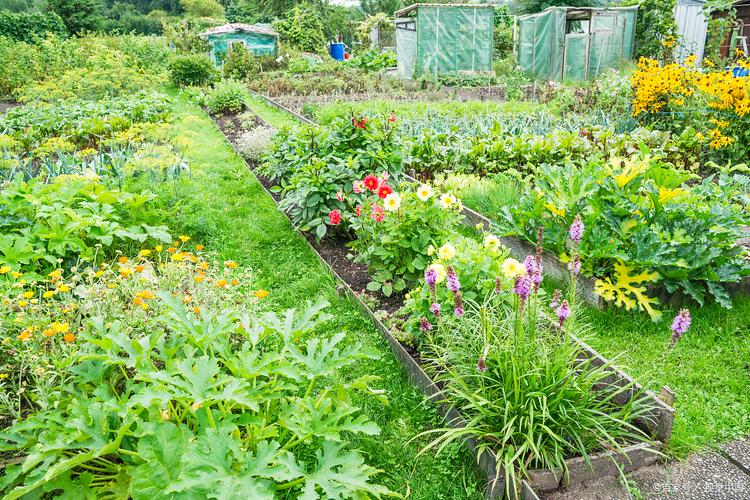 宽进严出的洛桑公共管理学院