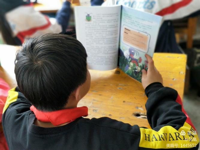 免学费入读俄罗斯总统母校！