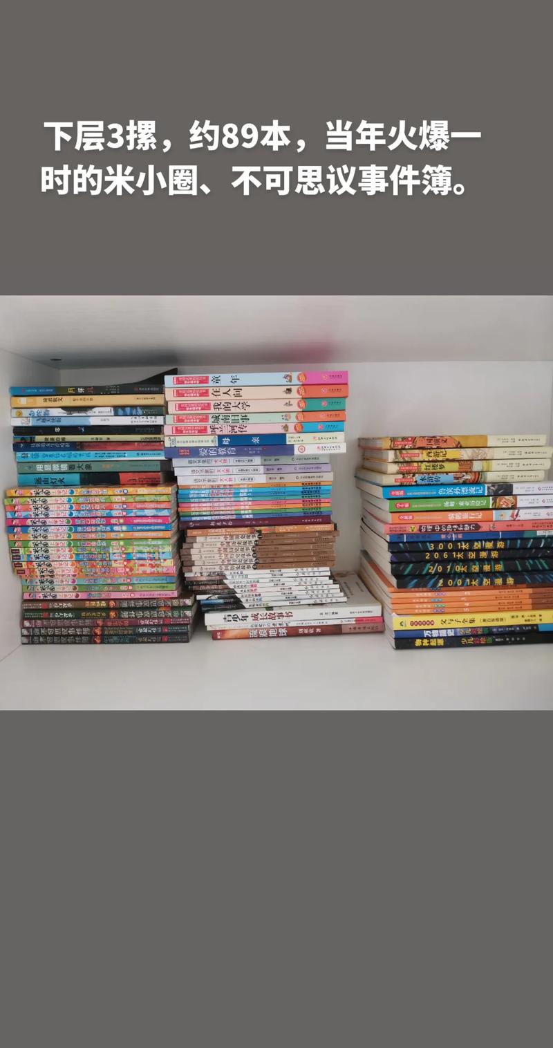 美国公共政策专业申请【美国留学】