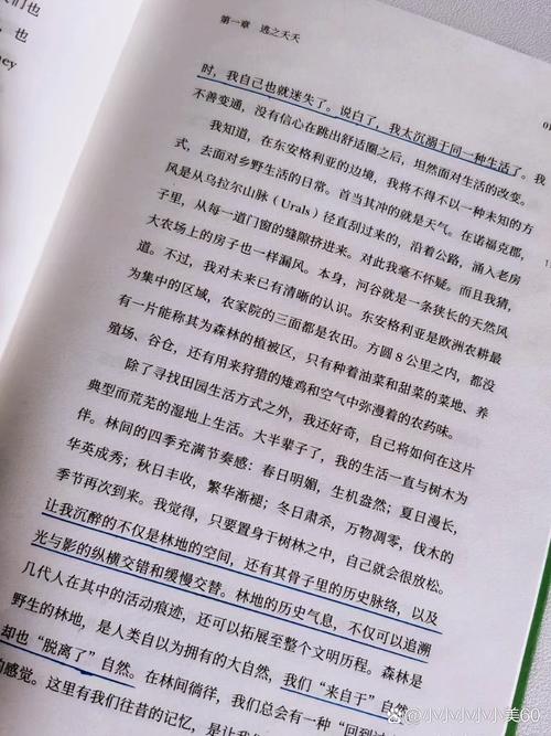 入境加拿大时，怎么银行开户？