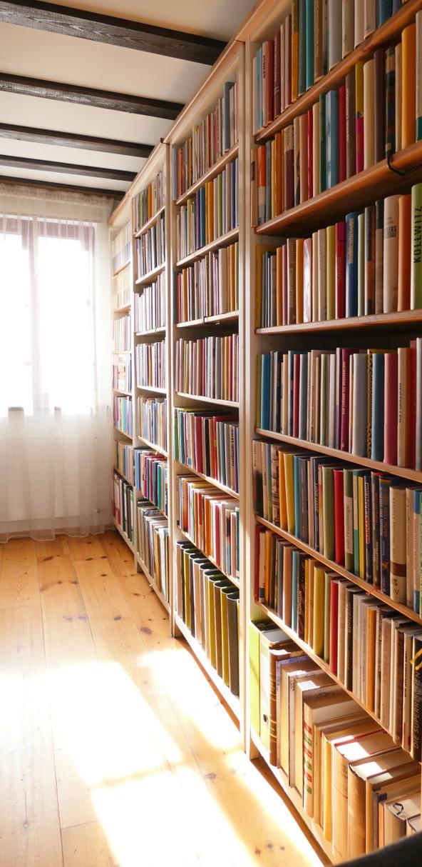 留学生刘燕留学生刘珊