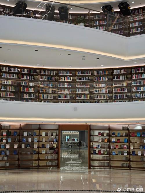 新网球王子ova第3季