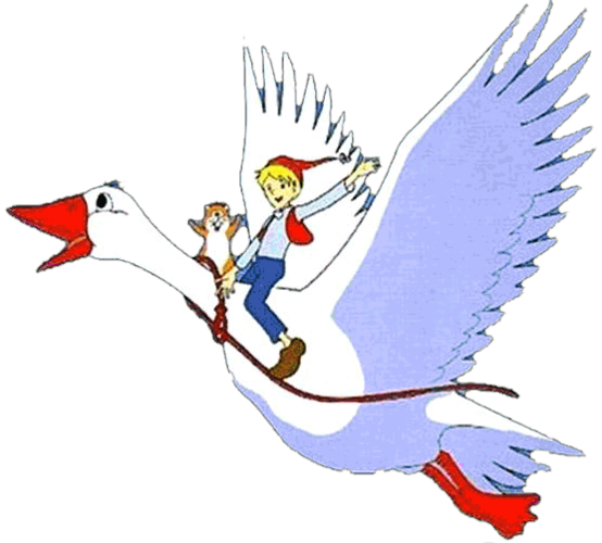 柴欢留学生_留学生柴晶琰