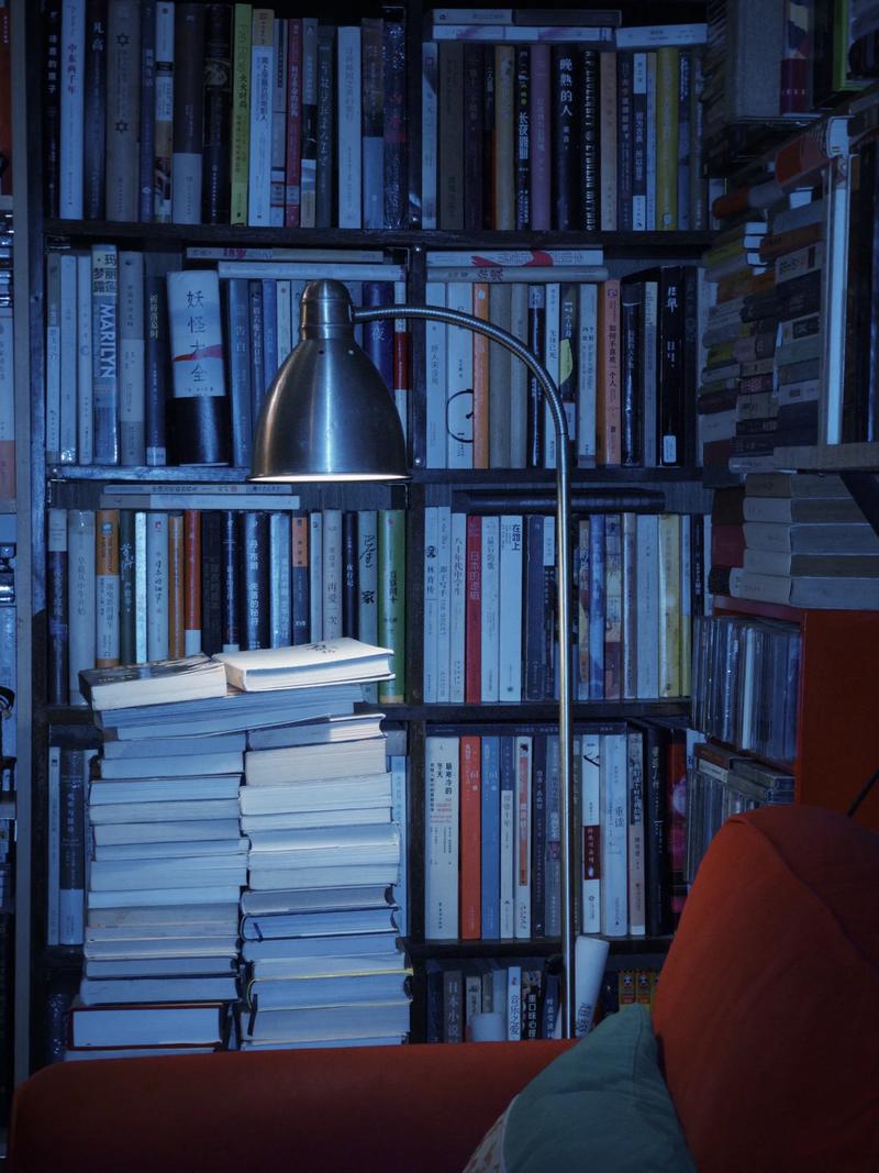 丹麦留学学费和生活费解析 丹麦留学学费和生活费解析