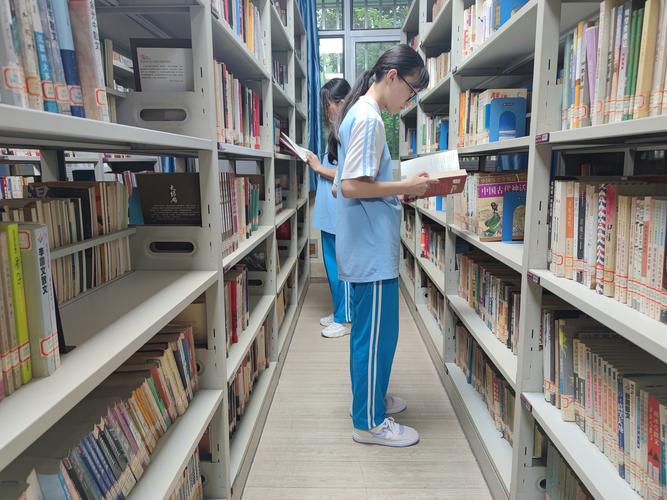 埃及旅游埃及境内交通贴士知多少