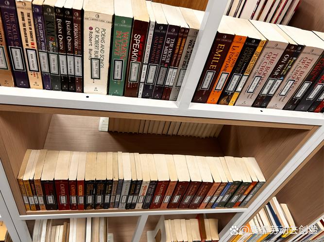 雷军出国留学_雷军孩子国籍