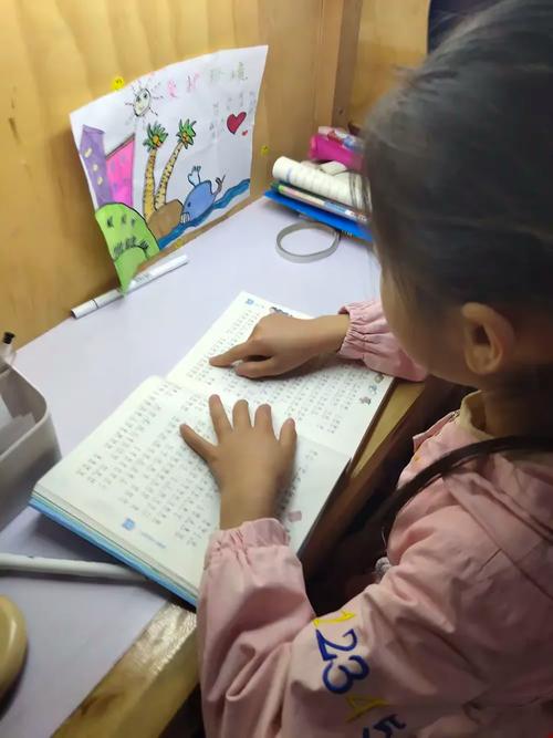 加拿大约克大学护理国际学生