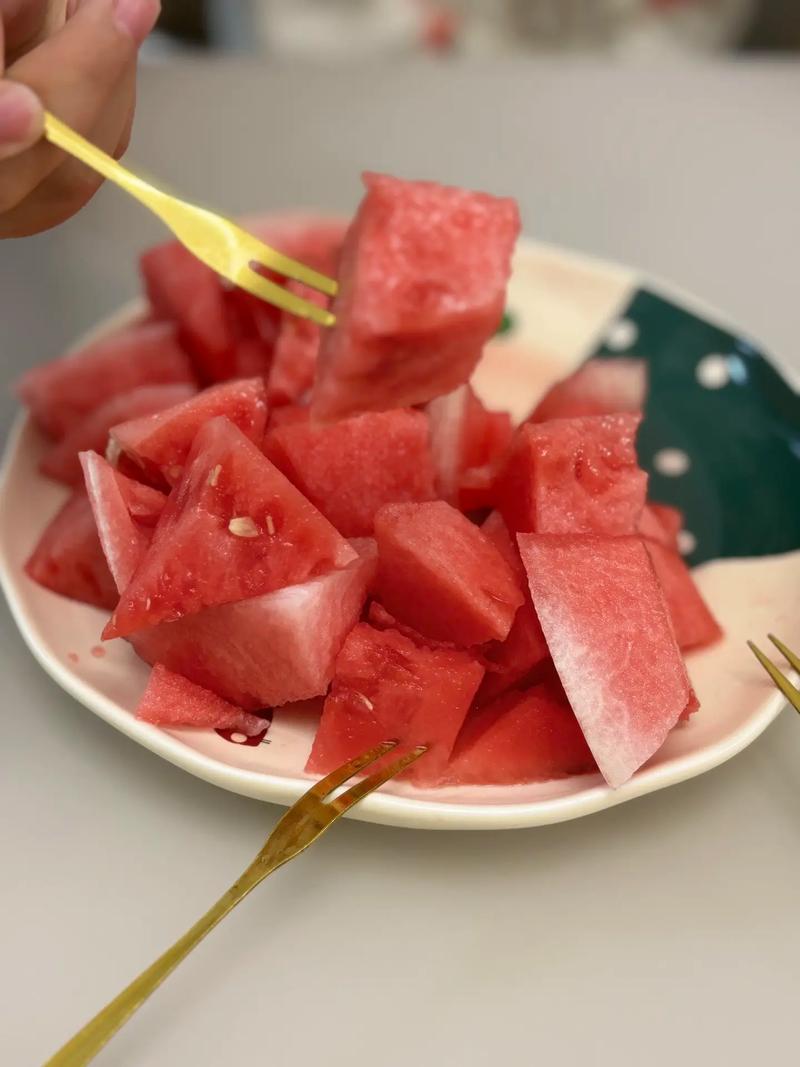 预科我该去哪儿读??