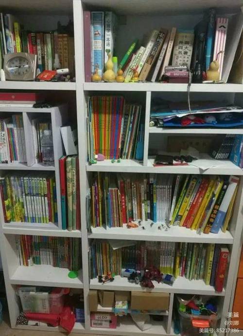 唐国强个人资料与倪大红关系