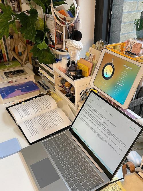 入境安省更换驾照须知