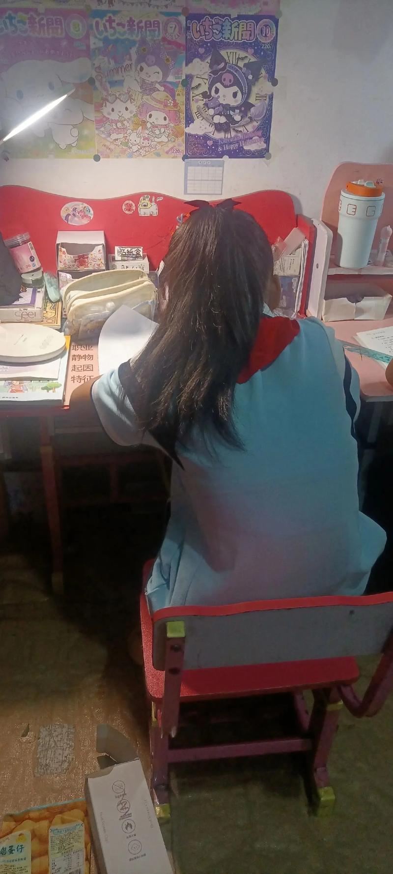 留学方案和语言要求~