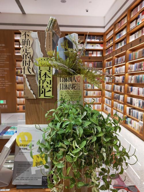 法国留学- 大专生也可以申请