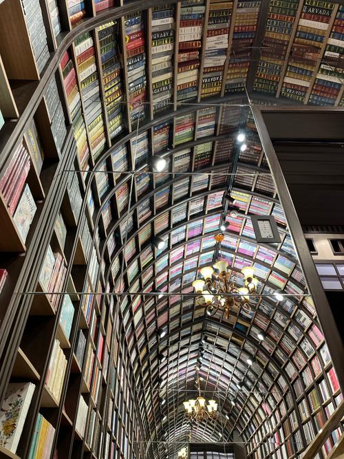 杭州特斯拉教练车现身驾校 学费五千元教学新法