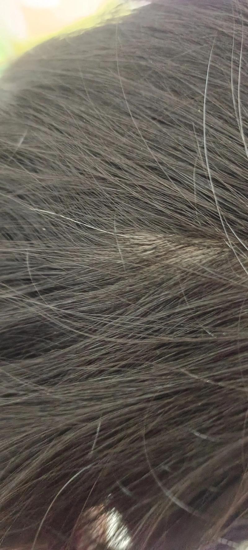 冉锋出国留学 冉峰是什么人