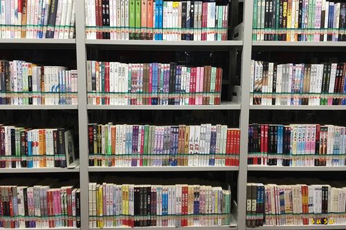 留学如何与教授相处