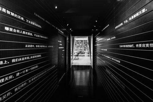 香港电影明星张—香港演员张