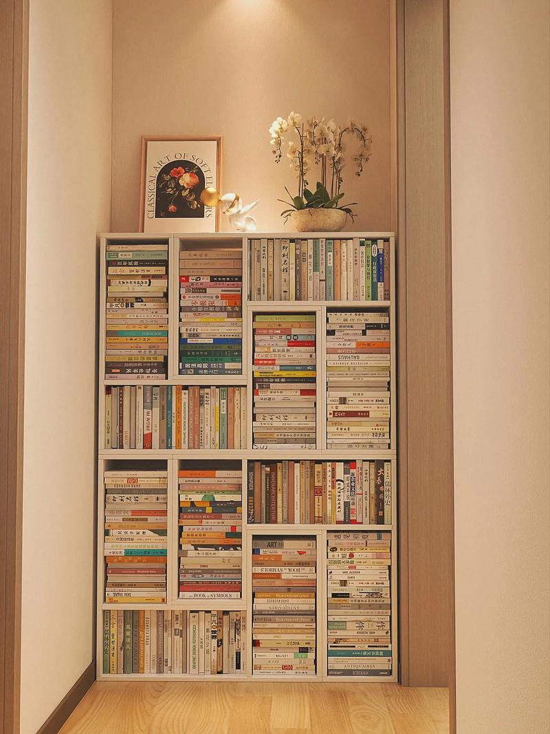 开局暴击宋倩这可是你主动的 开局暴击宋倩这可是你主动的