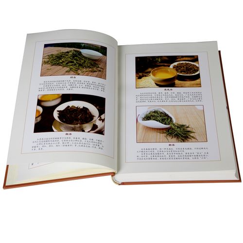 锤锤出国留学-锤锤的综艺节目 锤锤出国留学-锤锤的综艺节目