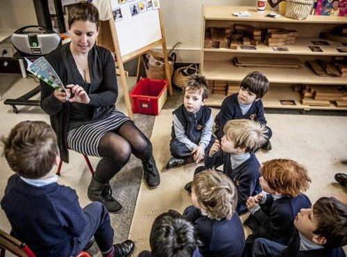 森林树屋森林树屋酒店