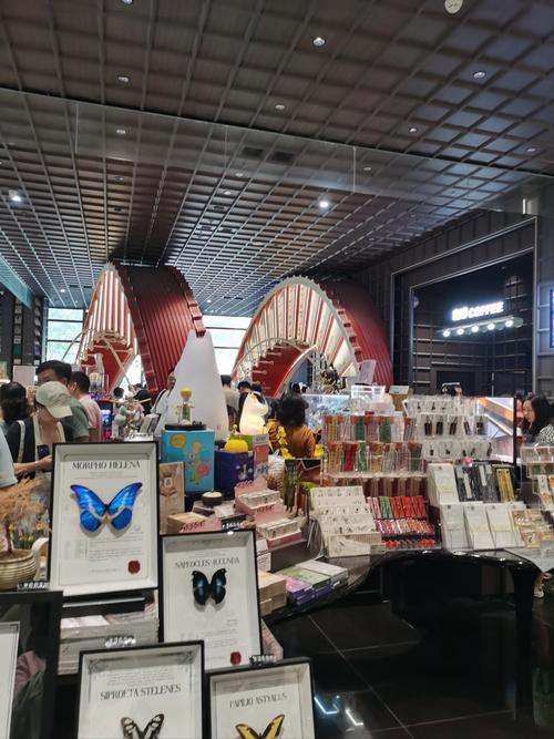 沈叶明留学生沈沬叶铭城