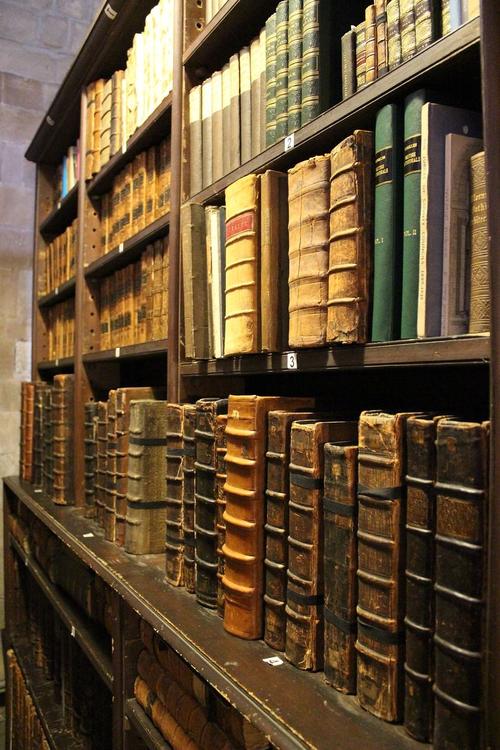 潘虹是中俄混血吗 潘虹是谁