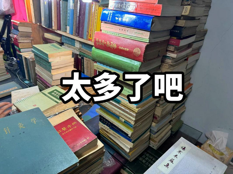 我们的好日子电视剧全集