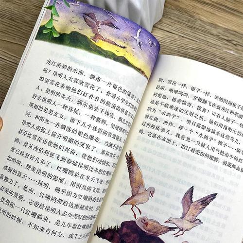 意大利接机机场介绍之佛罗伦萨机场