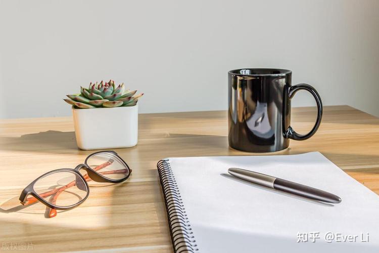 西班牙本科专业和大学推荐——教育类