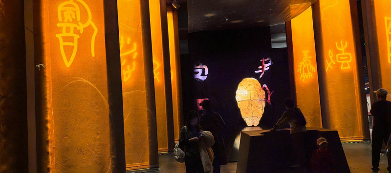 加拿大卡尔加里大学生命科学与医学申请条件