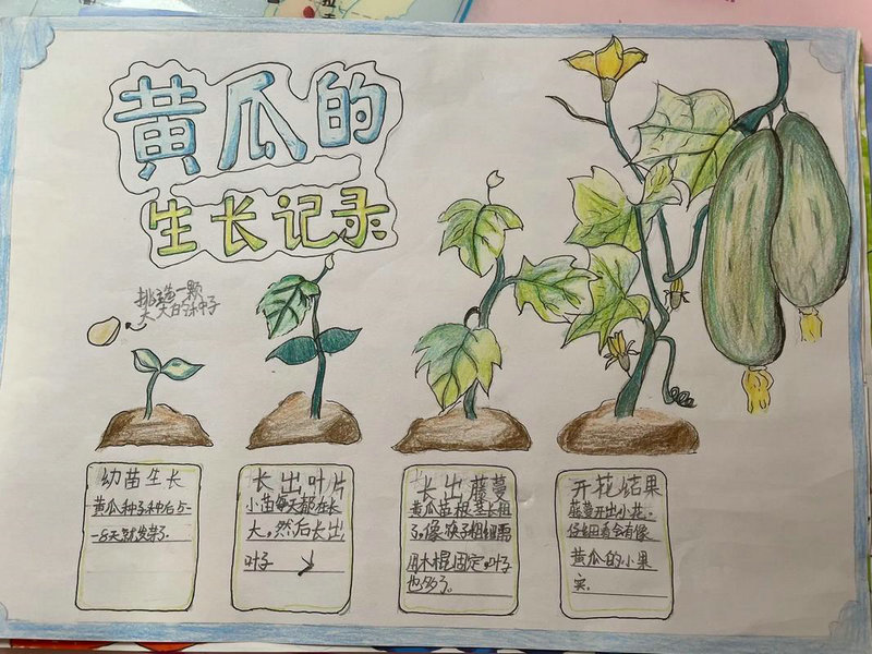 景观留学回国 景观留学作品集-辅导机构